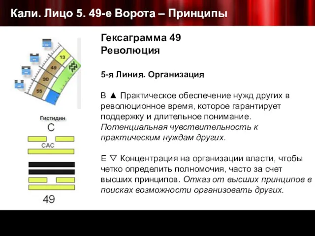 Кали. Лицо 5. 49-е Ворота – Принципы Гексаграмма 49 Революция