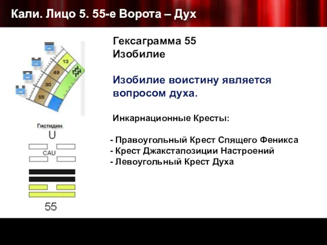 Кали. Лицо 5. 55-е Ворота – Дух Гексаграмма 55 Изобилие