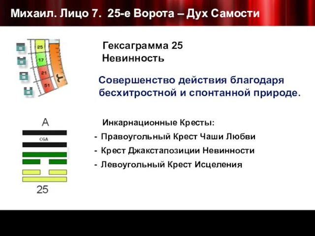 Михаил. Лицо 7. 25-е Ворота – Дух Самости Совершенство действия