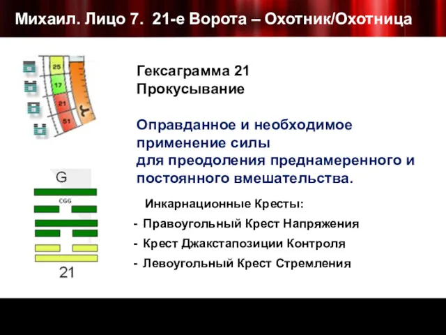 Михаил. Лицо 7. 21-е Ворота – Охотник/Охотница Инкарнационные Кресты: Правоугольный