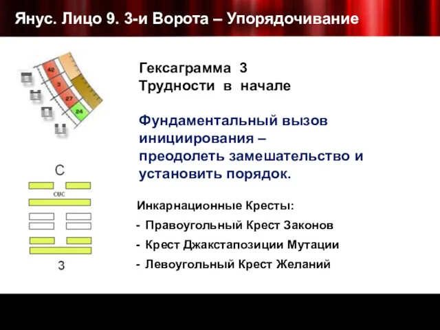 Янус. Лицо 9. 3-и Ворота – Упорядочивание Инкарнационные Кресты: Правоугольный