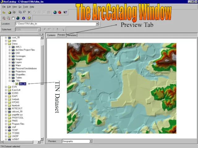 TIN Dataset Preview Tab The ArcCatalog Window