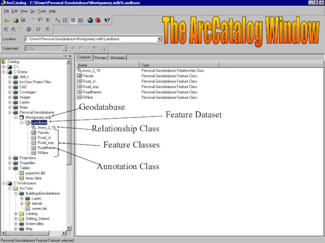 Geodatabase Feature Dataset Relationship Class Feature Classes Annotation Class The ArcCatalog Window