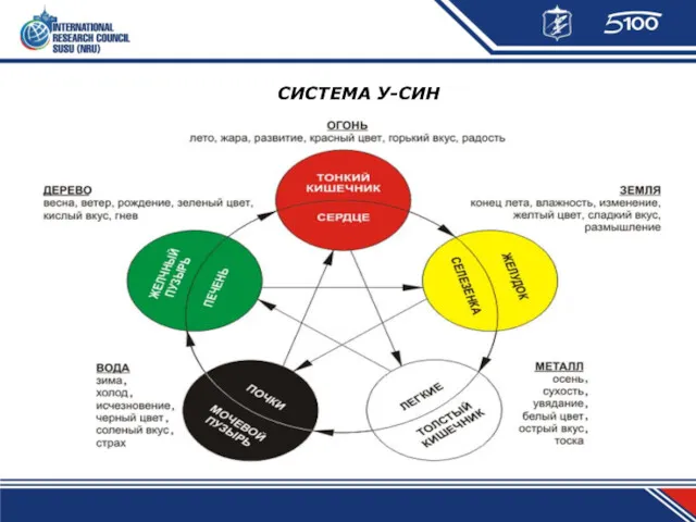 СИСТЕМА У-СИН