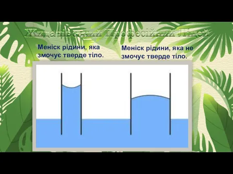 Меніск рідини, яка змочує тверде тіло. Меніск рідини, яка не змочує тверде тіло.