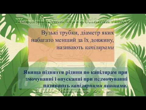 Вузькі трубки, діаметр яких набагато менший за їх довжину, називають