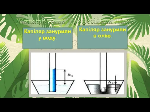 Капіляр занурили у воду. Капіляр занурили в олію.