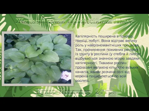 Капілярність поширена в природі, техніці, побуті. Вона відіграє велику роль