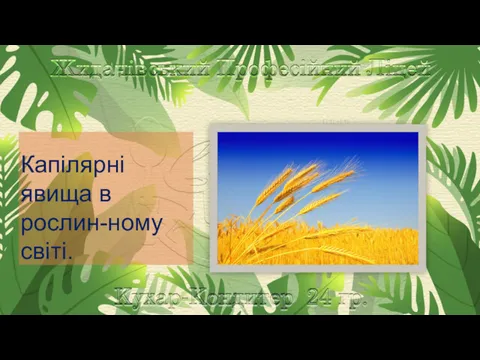 Капілярні явища в рослин-ному світі.