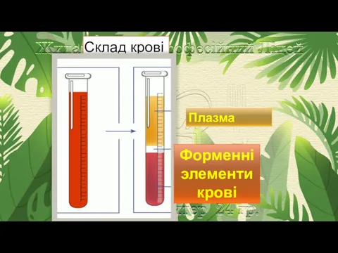 Склад крові Плазма Форменні элементи крові