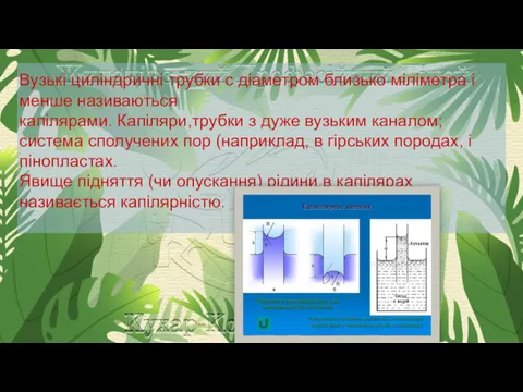 Вузькі циліндричні трубки с діаметром близько міліметра і менше називаються