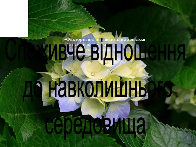 Фактори, які впливають на довкілля Екологічний нігілізм Екорлогічне невігластво Споживче відношення до навколишнього середовища