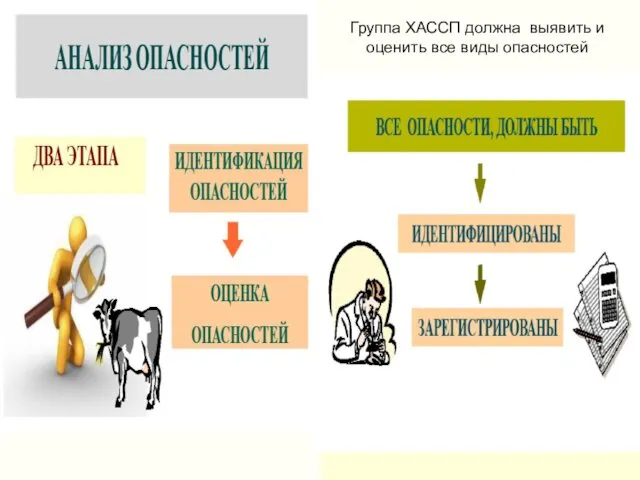 Группа ХАССП должна выявить и оценить все виды опасностей