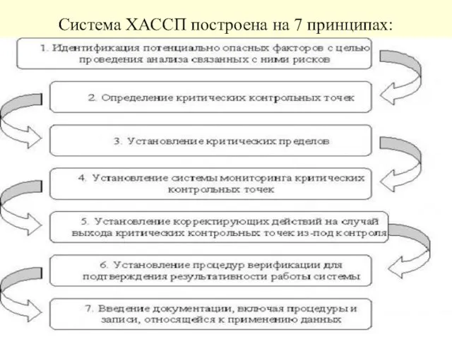 Система ХАССП построена на 7 принципах: