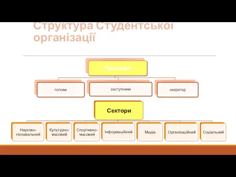 Структура Студентської організації