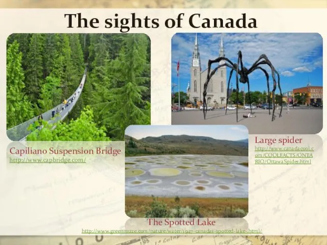 The sights of Canada Capiliano Suspension Bridge http://www.capbridge.com/ The Spotted Lake http://www.greenmuze.com/nature/water/1947-canadas-spotted-lake-.html/ Large spider http://www.canadacool.com/COOLFACTS/ONTARIO/OttawaSpider.html