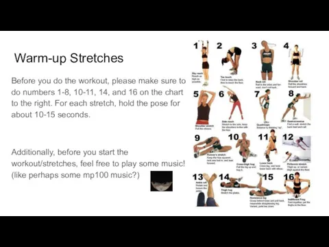 Warm-up Stretches Before you do the workout, please make sure