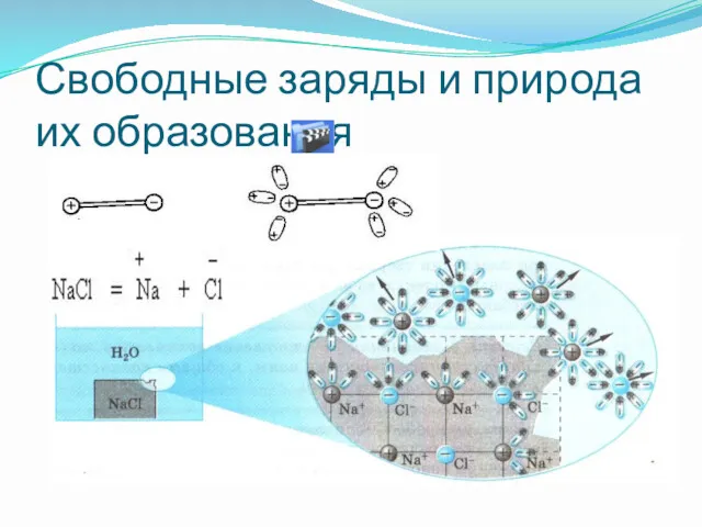 Свободные заряды и природа их образования