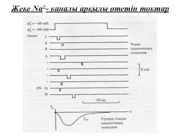 Жеке Nа+- каналы арқылы өтетін токтар