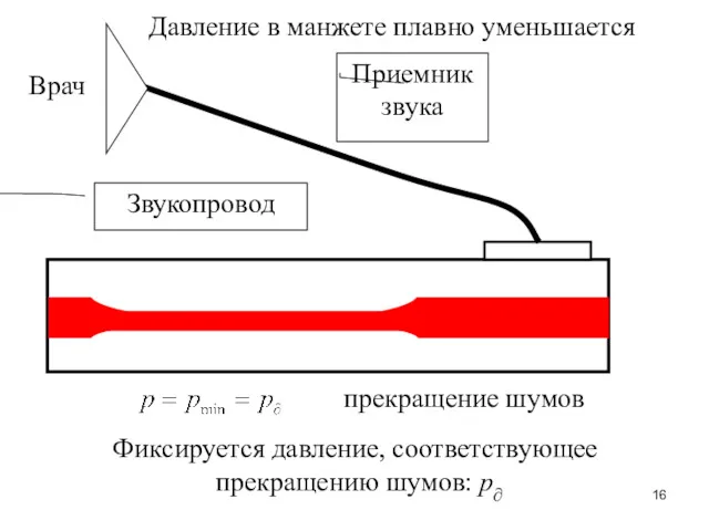 Приемник звука Звукопровод Врач прекращение шумов Давление в манжете плавно