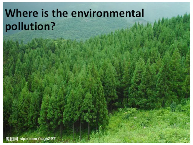 Where is the environmental pollution?