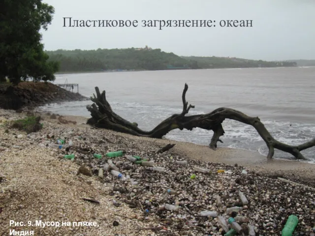 Пластиковое загрязнение: океан Рис. 9. Мусор на пляже, Индия