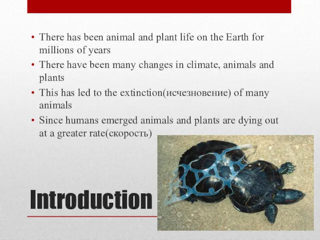 Introduction There has been animal and plant life on the