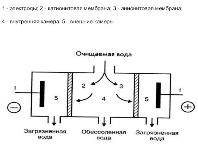 Рисунок 11.7 – Схема электродиализатора: 1 - электроды; 2 - катионитовая мембрана; 3