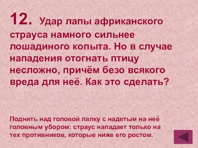 12. Удар лапы африканского страуса намного сильнее лошадиного копыта. Но