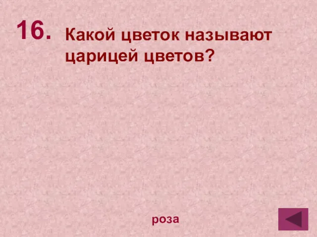 16. роза Какой цветок называют царицей цветов?