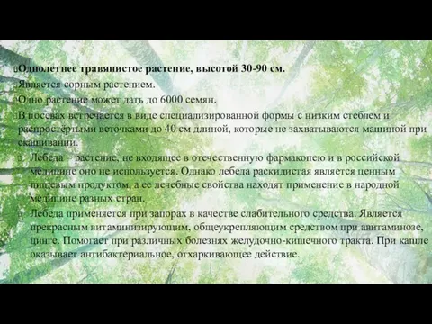 Однолетнее травянистое растение, высотой 30-90 см. Является сорным растением. Одно