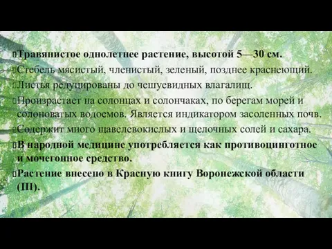 Травянистое однолетнее растение, высотой 5—30 см. Стебель мясистый, членистый, зеленый,