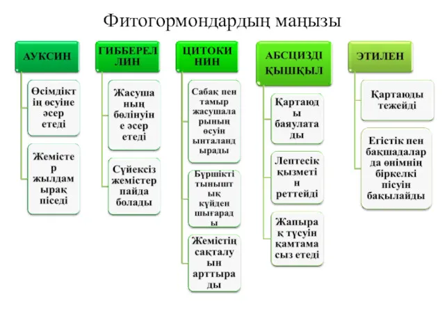 Фитогормондардың маңызы