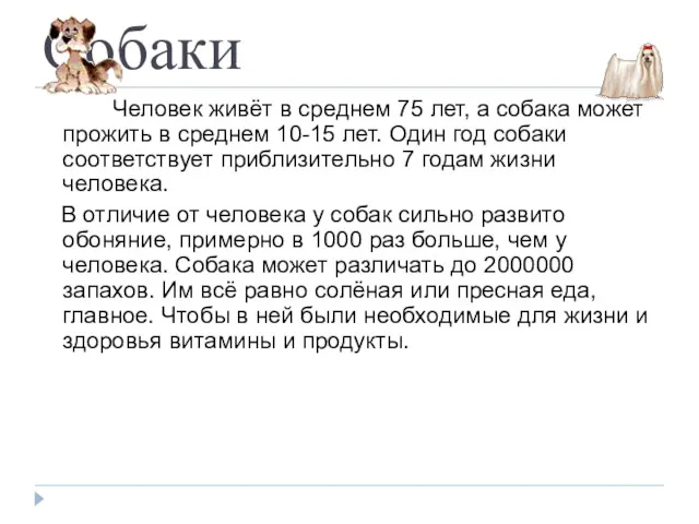 Собаки Человек живёт в среднем 75 лет, а собака может прожить в среднем