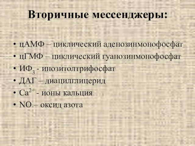 Вторичные мессенджеры: цАМФ – циклический аденозинмонофосфат цГМФ – циклический гуанозинмонофосфат