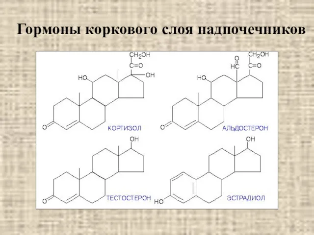 Гормоны коркового слоя надпочечников