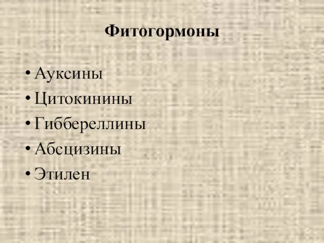 Фитогормоны Ауксины Цитокинины Гиббереллины Абсцизины Этилен