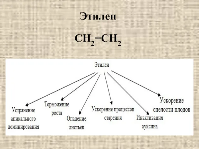 СН2=СН2 Этилен