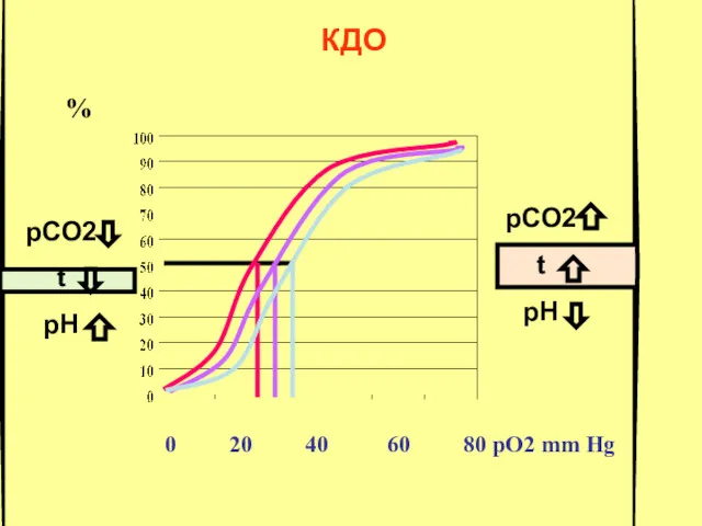 0 20 40 60 80 рО2 mm Hg КДО % рСО2 t pH рСО2 t pH