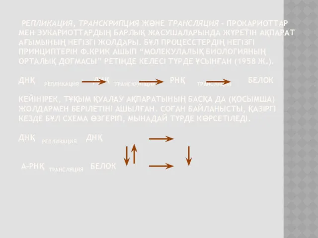 РЕПЛИКАЦИЯ, ТРАНСКРИПЦИЯ ЖӘНЕ ТРАНСЛЯЦИЯ - ПРОКАРИОТТАР МЕН ЭУКАРИОТТАРДЫҢ БАРЛЫҚ ЖАСУШАЛАРЫНДА