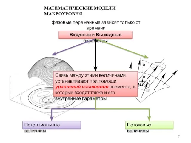 фазовые переменные зависят только от времени Потенциальные величины Потоковые величины