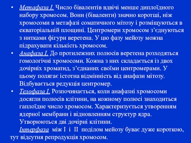 Метафаза I. Число бівалентів вдвічі менше диплоїдного набору хромосом. Вони