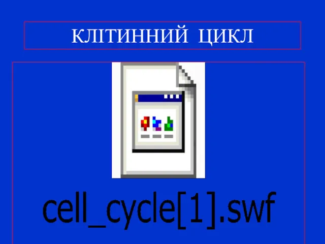 КЛІТИННИЙ ЦИКЛ