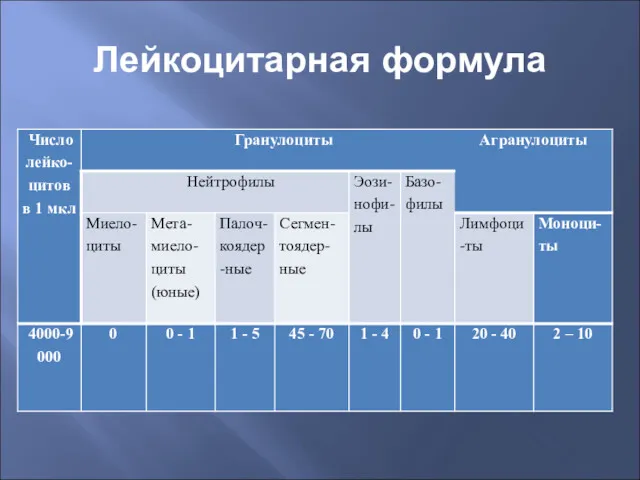 Лейкоцитарная формула