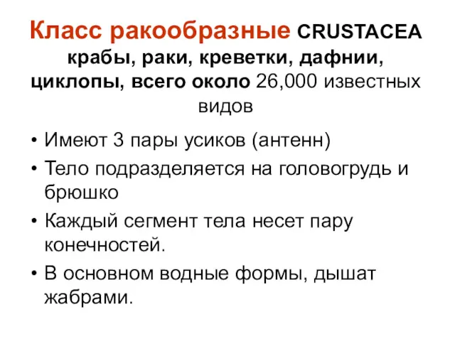 Класс ракообразные CRUSTACEA крабы, раки, креветки, дафнии, циклопы, всего около