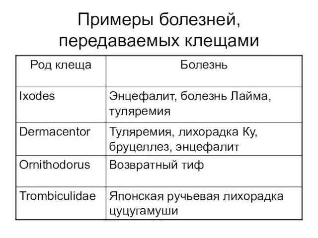 Примеры болезней, передаваемых клещами