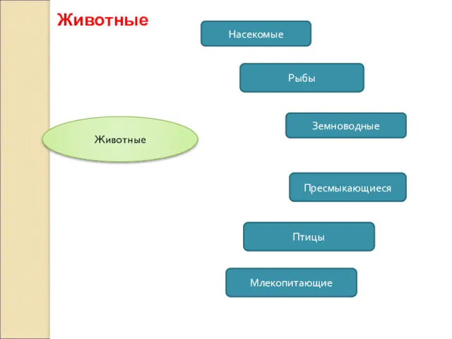 Животные Животные Рыбы Земноводные Насекомые Пресмыкающиеся Птицы Млекопитающие