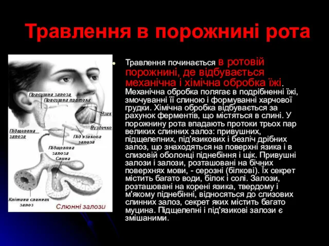 Травлення в порожнині рота Травлення починається в ротовій порожнині, де