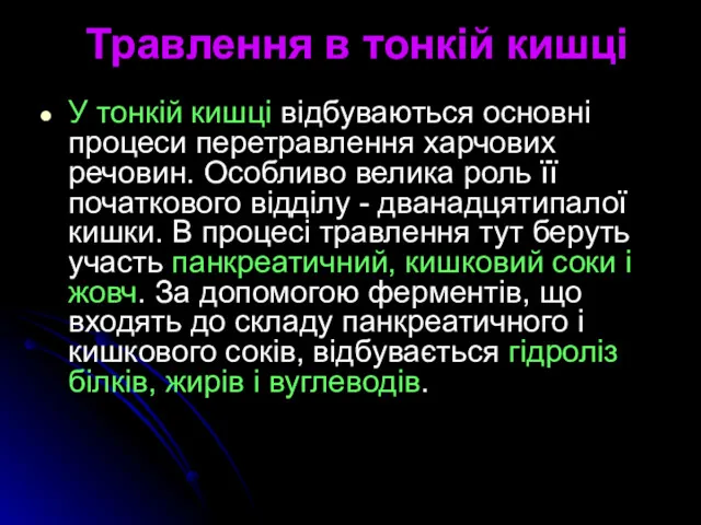 Травлення в тонкій кишці У тонкій кишці відбуваються основні процеси