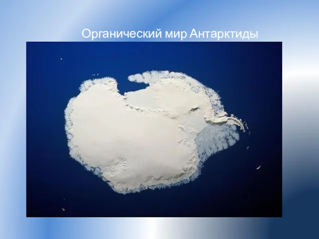 Органический мир Антарктиды